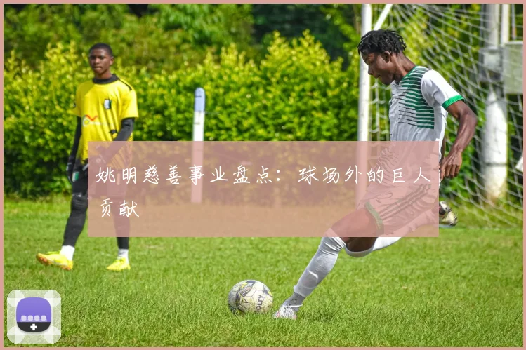 姚明慈善事业盘点:球场外的巨人贡献